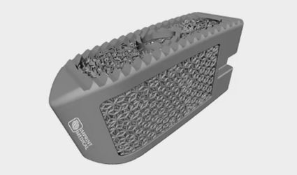 Altair_3DXpert-DfAM_Why-3 (002) Altair_3DXpert-DfAM_Why-3 (002)